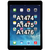 iPad Air