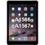 iPad Air 2