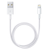 iPad Kabel (Lightning)