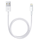 iPad Kabel (Lightning)