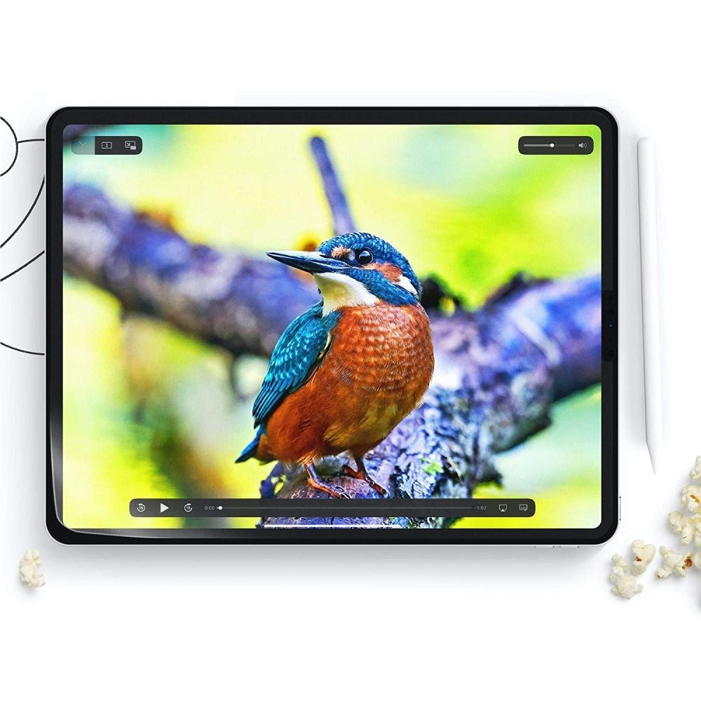 iPad Pro 11" (2025 / 2024) HOFI Paper Pro+ Beskyttelsesfilm - Mat Gennemsigtig