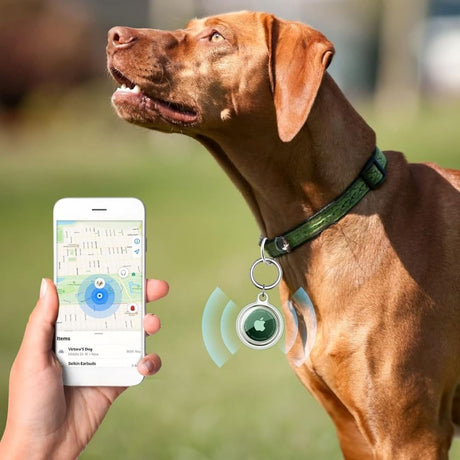 Tech-Protect Icon AirTag 1. & 2. Gen. Cover m. Karabinhage - 4 stk. - Gennemsigtig