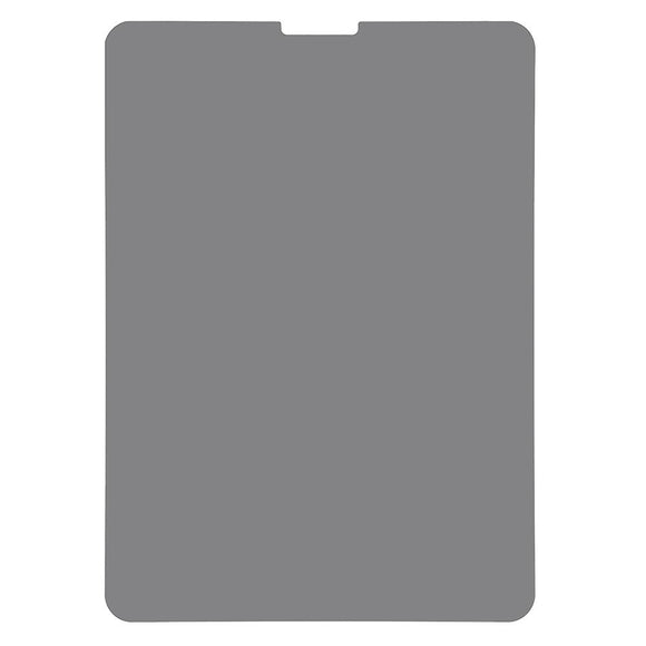 iPad Pro 11" (2025 - 2018) PET Papir Tekstur Beskyttelsesfilm m. Privacy - Gennemsigtig