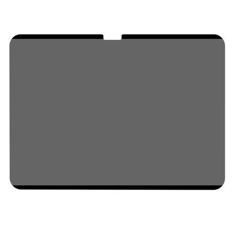 iPad Pro 13" (2025 / 2024) PET Papir Tekstur Magnetisk Beskyttelsesfilm m. Privacy