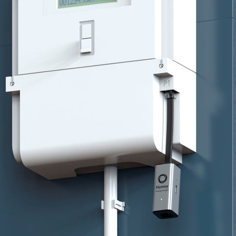 Homey Energy Dongle P1 - Grå