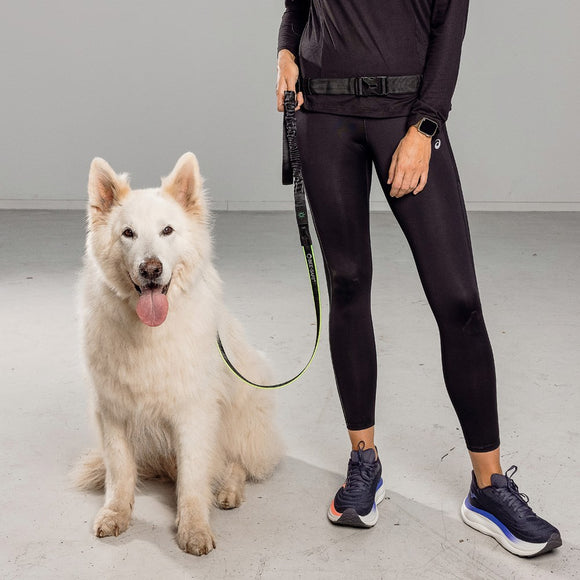 Bee-Safe LED Hundesnor til Løb - Sort