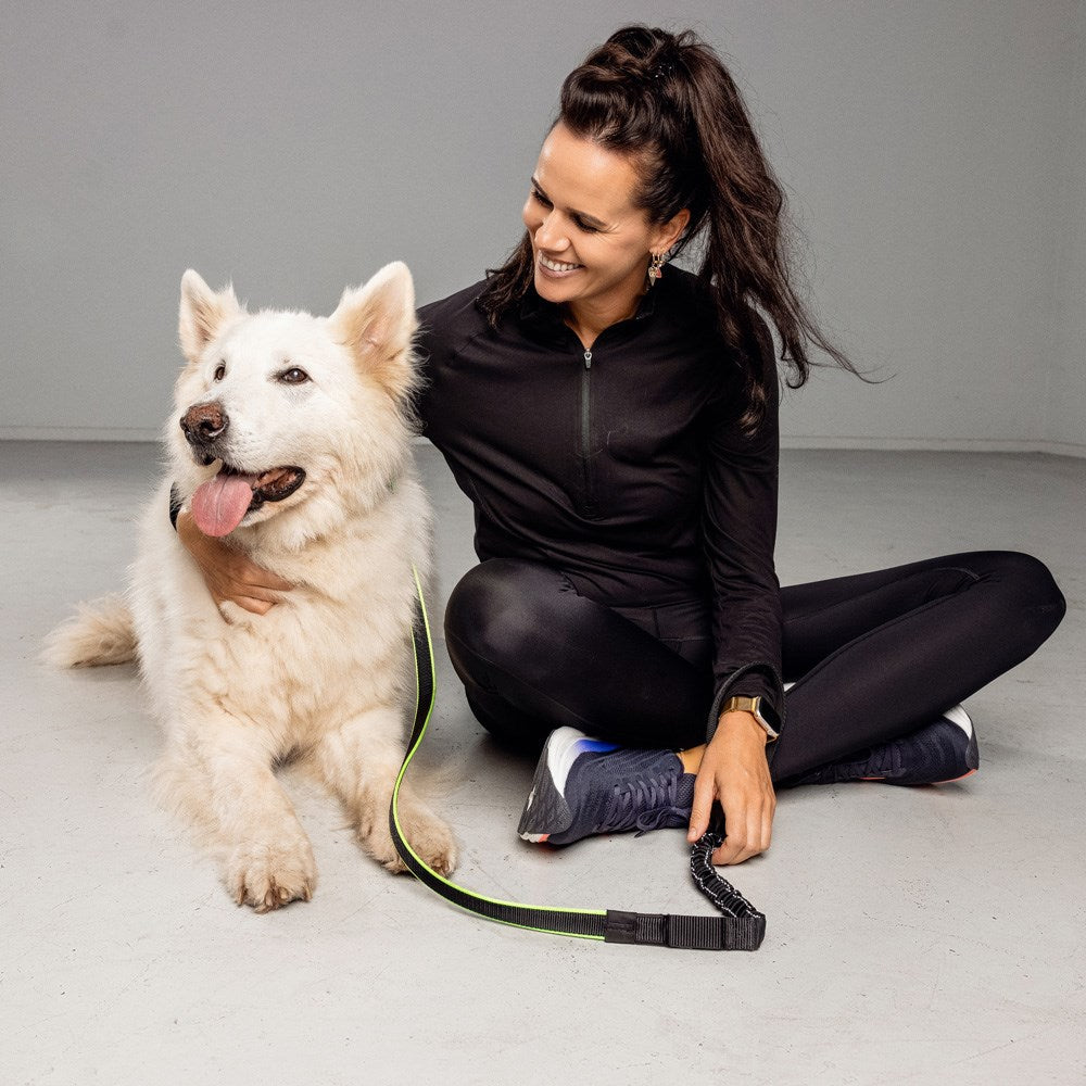 Bee-Safe LED Hundesnor til Løb - Sort