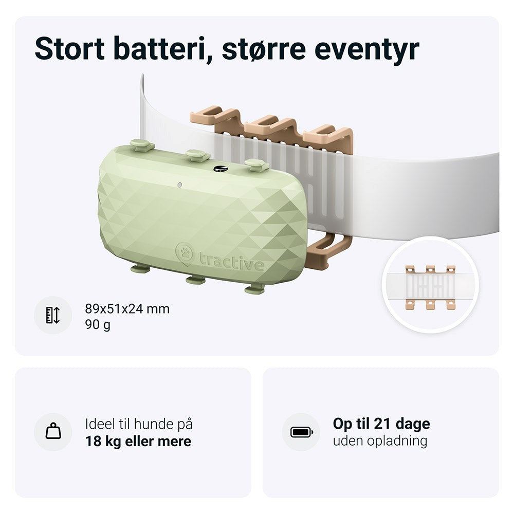Tractive GPS Dog XL - GPS Tracker til Hund - Grøn
